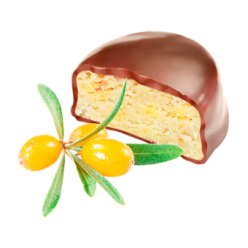 Конфеты "Кедровый марципан" с облепихой в шоколадной глазури (1500 г)